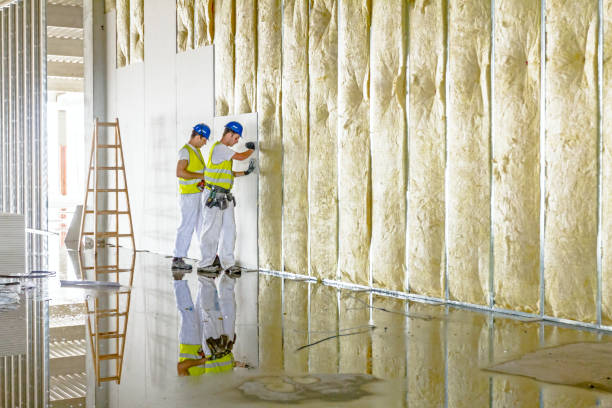 Best Cellulose Insulation  in Bnchard, LA